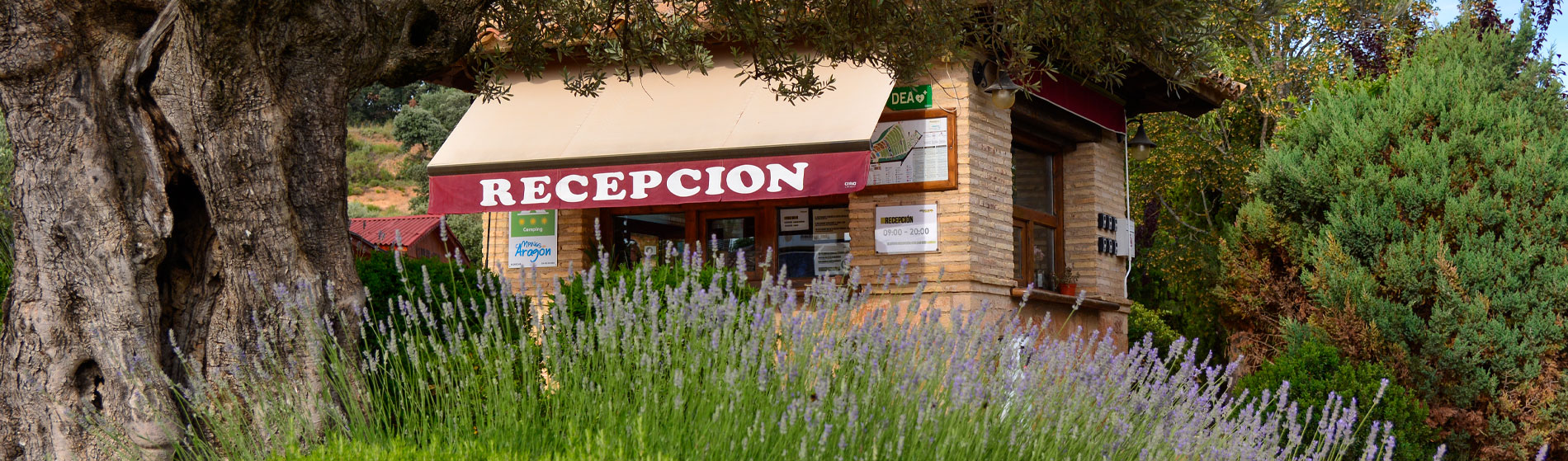 Contacta con Camping Alquézar, Huesca